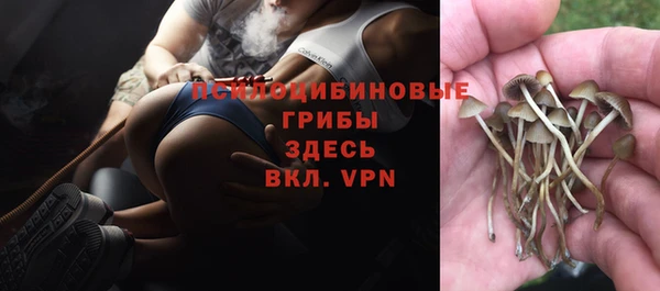 хмурый Белоозёрский
