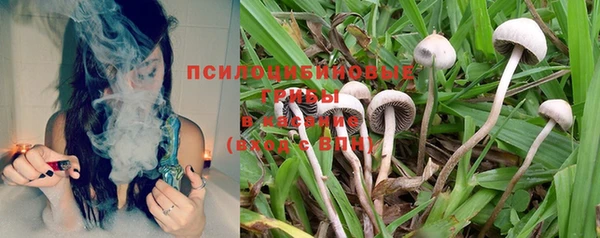 хмурый Белоозёрский