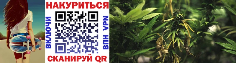 где купить   shop состав  Шишки марихуана SATIVA & INDICA  Барыш 